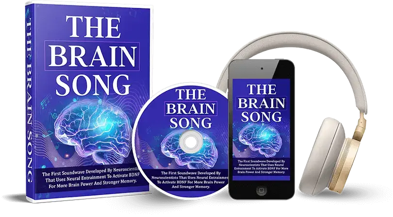 the-brain-song-product